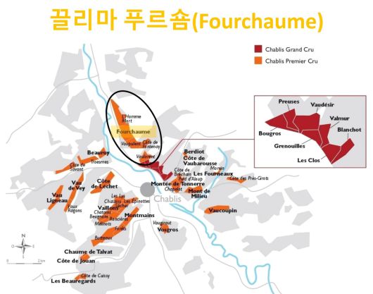 푸르숌 위치. 부르고뉴와인협회