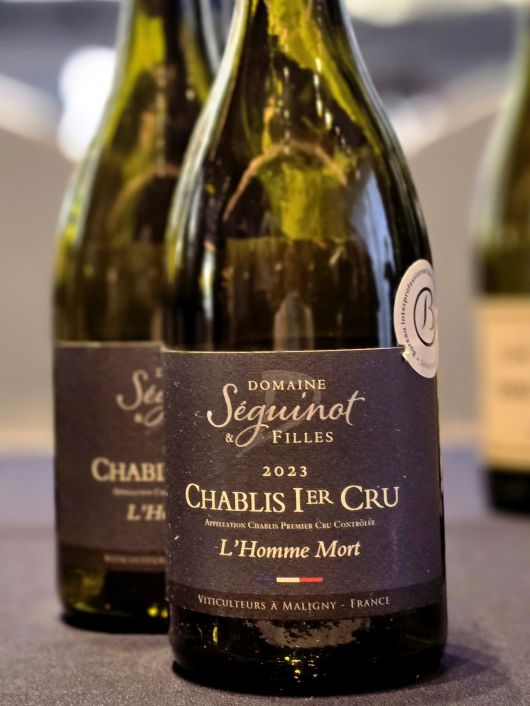 도멘 다니엘 세기노 에 피유 롬 모르. 최현태 기자