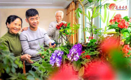 북한 노동당 기관지 노동신문은 지난 2025년 12월 28일 대성구역 려명동의 한 가정을 조명하며 "꽃은 인민들 문화정서생활에 중요한 작용을 한다"고 보도했다.