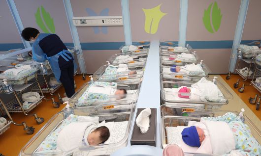 경기도 고양시의 한 병원 신생아실에서 간호사가 신생아들을 돌보고 있다. 있다. 뉴시스