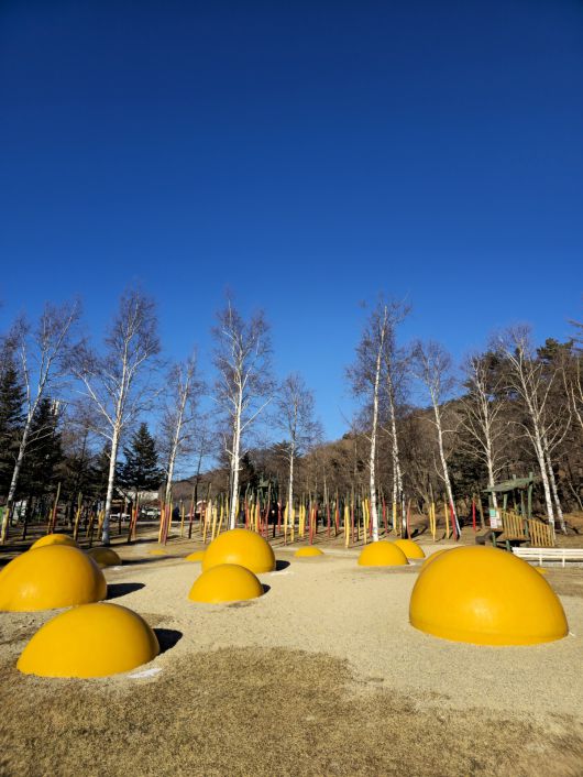 대관령 하늘목장 카페 앞 마당.