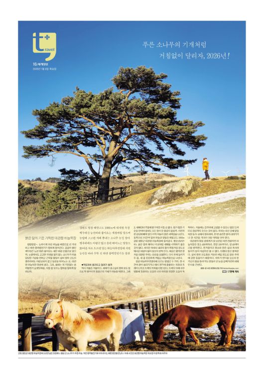 세계일보 여행면. 편집=김창환 기자