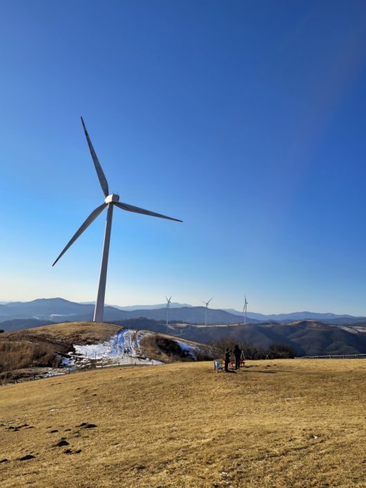 대관령 하늘목장 하늘마루전망대.