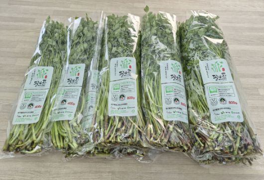 출하해 포장 상태인 팔공산 미나리. 대구 동구 제공