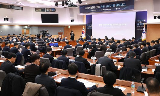 이억원 금융위원장이 12일 서울 종로구 정부서울청사 별관에서 열린 금융위원회 산하 금융유관기관 업무보고에서 발언하고 있다. 금융위원회 제공
