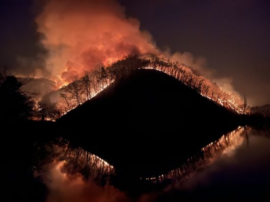 지난해 3월23일 오후 경북 의성군 의성읍 업리 동사곡저수지 뒤편 야산에 산불이 확산하고 있다. 의성=뉴스1