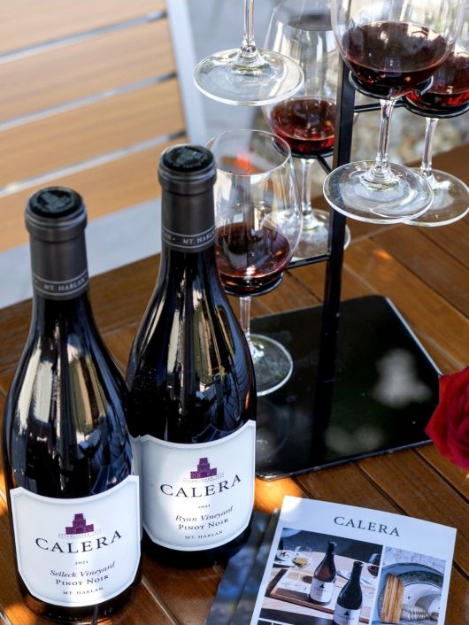 칼레라 라이언(오른쪽)과 셀렉. 인스타그램