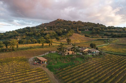 파라디소 디 카쿠치와 몬탈치노 언덕 전경. 홈페이지