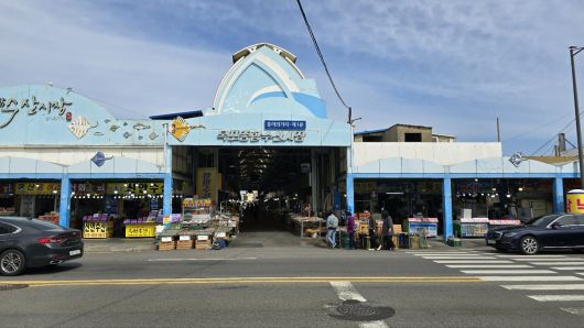 지난달 25일 목포종합수산시장 홍어의 거리. 손님은 없고 상인들은 냉랭했다. 목포=김선덕 기자