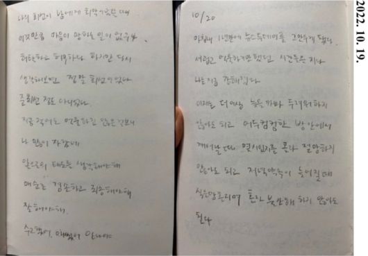 온라인 커뮤니티 캡처