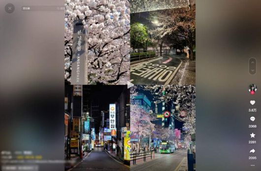 ‘서울병’은 단순 유행어가 아닌 중국 Z세대의 소비 방식·문화 취향·정서 구조를 압축적으로 보여주는 상징이 되고 있다. 틱톡 갈무리