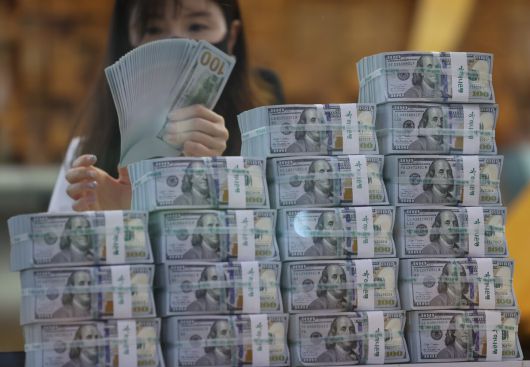 5일 오후 서울 중구 하나은행 위변조대응센터에서 직원이 달러화를 정리하고 있다. 사진=뉴시스