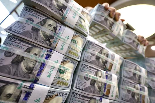 서울 중구 하나은행 위변조대응센터에서 관계자가 달러를 정리하고 있다. 사진=뉴시스