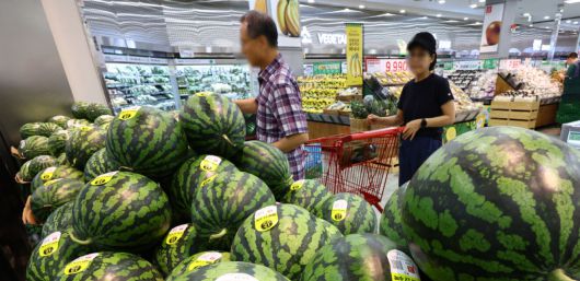 21일 서울 시내 한 대형마트 수박 매대에서 소비자들이 수박을 고르고 있다. 한국농수산식품유통공사(aT)에 따르면 지난 18일 기준 수박 한 통의 소매가격은 3만866원으로 전년 대비 44.7% 상승하고 배추 한 포기는 4853원으로 전월 대비 43.1% 오르는 등 폭염에 이은 폭우 영향으로 농산물 가격이 급등하고 있다. 뉴시스