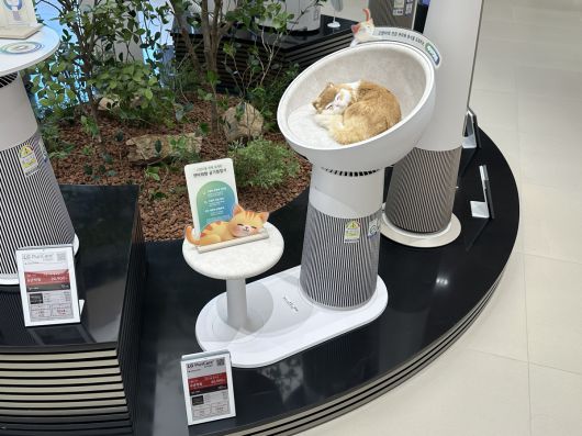 에어케어 존에 펫팸족을 위한 공기청정기 에어로 캣타워가 전시돼 있다. 이화연 기자