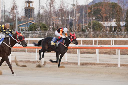 스포츠월드