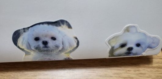 재롱이의 스티커가 붙어있는 기자의 노트북.