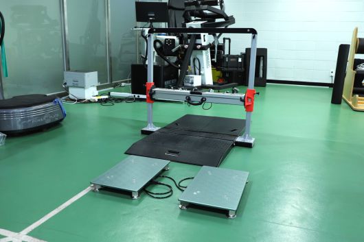 발드. 사진=SSG 제공