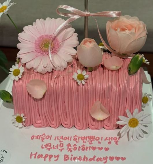 사진=맹승지 SNS