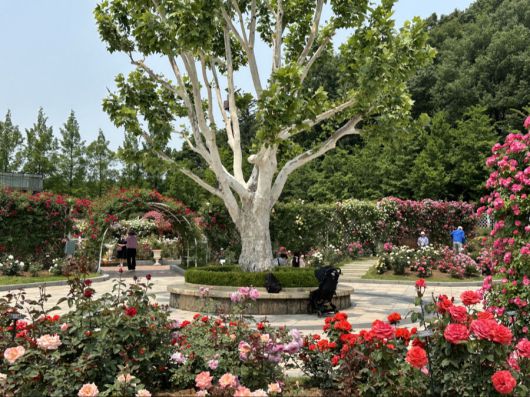 에버랜드 로로티에는 산책을 하며 휴식을 취할 수 있는 공간도 여럿 마련돼있다. 이화연 기자