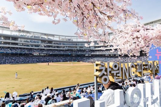 사진=NC다이노스 제공