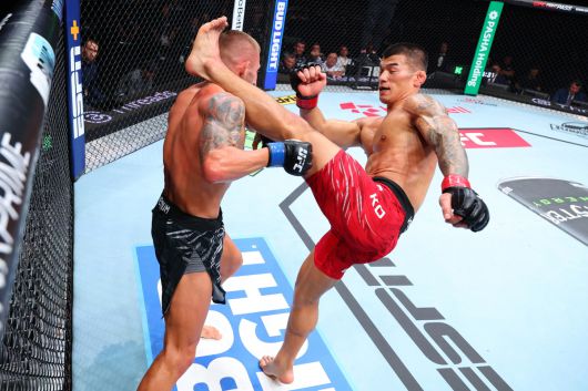 고석현(오른쪽). 사진=UFC 제공