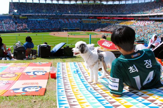 지난 5월 SSG랜더스가 개최한 도그데이를 통해 반려가족이 함께 직관을 즐기고 있다. 박재림 기자