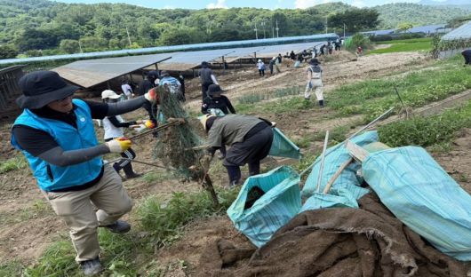 한국환경공단 수도권동부환경본부 임직원들이 지난 29일 가평군 수해 현장에서 복구 작업을 진행하고 있다. 사진=한국환경공단 제공