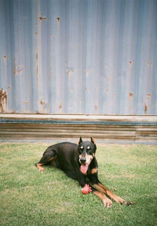 사진 = 베정남 SNS 계정