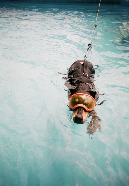 사진 = 베정남 SNS 계정