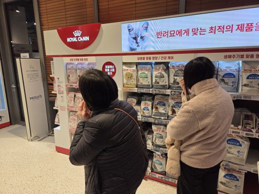 반려묘 집사들이 로얄캐닌 브랜드숍에 진열된 다양한 제품들을 구경하고 있다. 박재림 기자