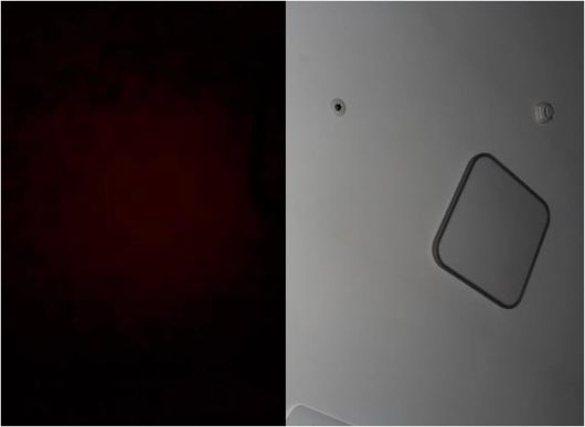 사진 = 권민아 SNS 계정