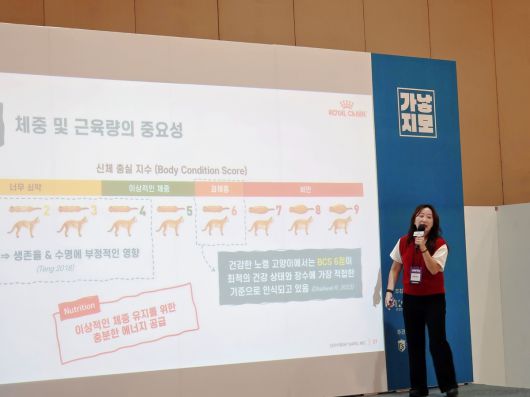곽영화 수의사가 로얄캐닌 세미나에서 노령묘 영양 관리에 대해 강연하고 있다. 박재림 기자