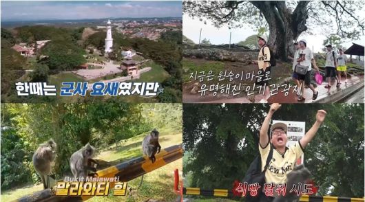 니돈내산 독박투어4 스틸컷.