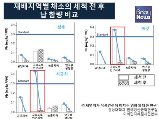 베이비뉴스