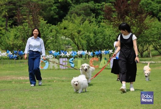 에버랜드 반려견 동반 비타민 캠프 '멍하니 걷개'. ⓒ애버랜드