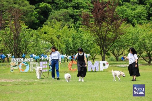 에버랜드 반려견 동반 비타민 캠프 '멍하니 걷개'. ⓒ애버랜드