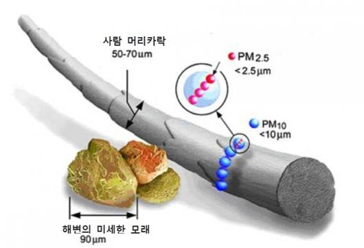 이코노믹리뷰