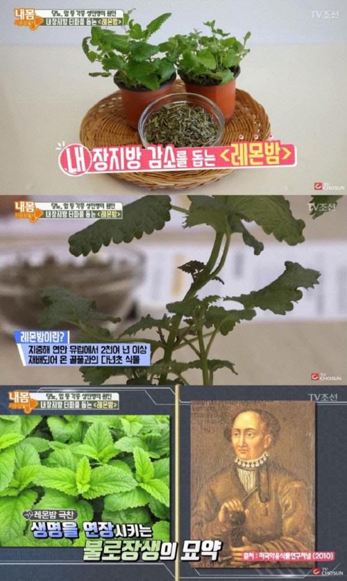 아시아투데이