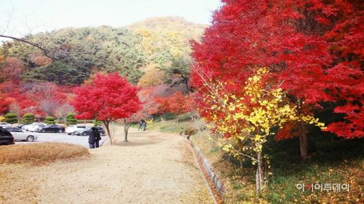 아시아투데이