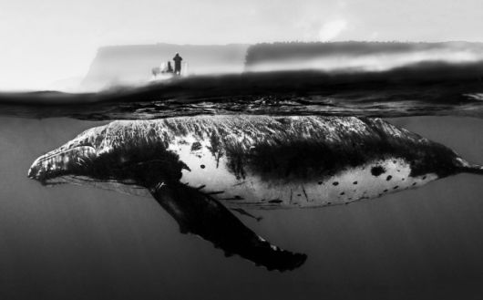 롯데월드 서울스카이 ‘나는 고래 미디어아트전’/ 롯데월드 제공