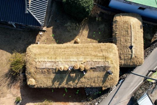 의령군 화정면 상정리 조씨고가 초가지붕 이엉잇기 재현을 하고 있다. /의령군