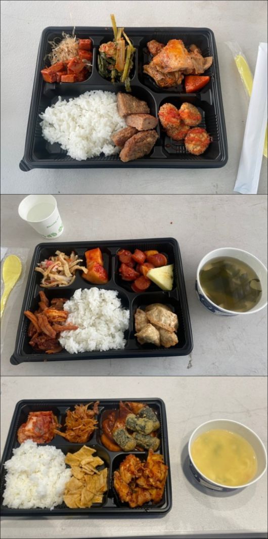 A씨가 공개한 임영웅 콘서트 1~3일차 식단 사진 /네이버 블로그, 온라인 커뮤니티