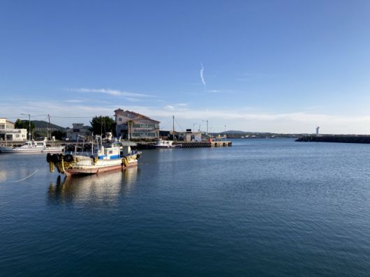 표선 해안 마을. / 이장원 기자