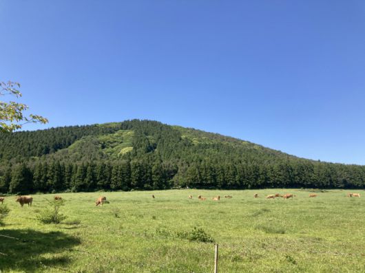 물영아리 오름 둘레길. / 이장원 기자