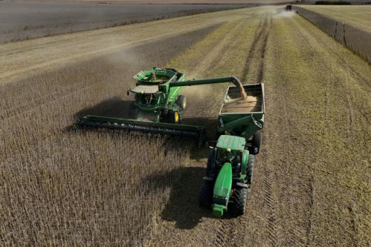 아르헨티나 농부가 2024년 5월 15일(현지시간) 부에노스아이레스 외곽 페르가미노의 농장에서 대두를 수확하고 있다./로이터·연합