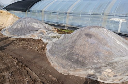 한강유역환경청이 지난 3월 13일 야적퇴비 현황조사에 나서 경기도 광주시 퇴촌면의 한 농가의 야적퇴비가 적정하게 관리되고 있음을 확인했다./한강청