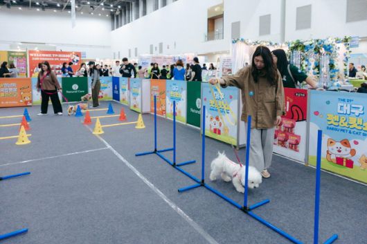반려견 놀이터 체험./대구시