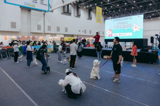 반려견 기질평가./대구시