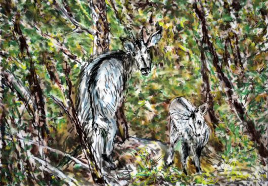 파주 DMZ 문화예술공간 통에서 다음달 30일까지 개최되는 폴린 선희 최(Pauline Sunhee Choi)의 개인전 'Accidental Nature｜우연적 자연' 전시작품 이미지. /경기문화재단